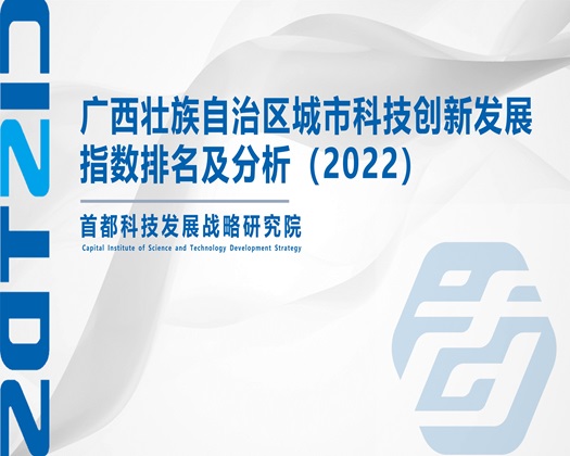 日逼逼逼逼视频【成果发布】广西壮族自治区城市科技创新发展指数排名及分析（2022）